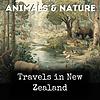 Travels in New Zealand