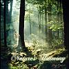 Nature’s Harmony: Soothing Sounds & Instrumentals(Nature music for meditation or sleep)