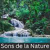 Sons de la Nature capa