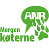 Morgenkøterne