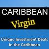 Caribbean Virgin: Unique Investment Deals in the Caribbean