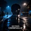 Section Criminelle