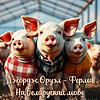 Джордж Оруэл - Ферма. На Беларускай мове kansi