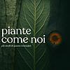 Piante come noi