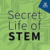 Secret Life of STEM