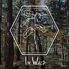Im Wald Cover