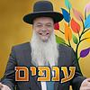 הרב יגאל כהן - שיעורים שבועיים עטיפה