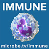 Immune portada