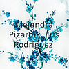 Alejandra Pizarnik_Iris Rodríguez portada