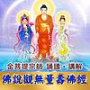 佛說觀無量壽佛經 金菩提宗師誦讀講解