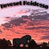 Hevoset Hoidossa kansi