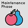 Maintenance Phase naslovna