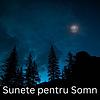 Sunete pentru Somn copertă