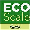 Eco Scale Radio