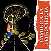 Camino a la neurociencia