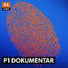 P1 Dokumentar