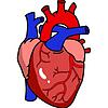 Rhesus Medicine Podcast - Medical Education portada
