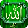 Urdu bayan