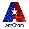 AmCham's 'How Business Really Works' Podcast