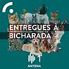 Entregues à Bicharada