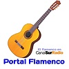 Portal Flamenco RAI