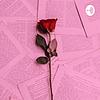 Cien años de soledad-Lectura portada
