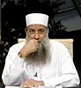 النبلاء