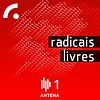 Radicais Livres (1ª Série)