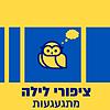 ציפורי לילה מתגעגעות עטיפה