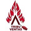 Tribu Ventas: Ingeniería de Ventas Industriales y B2B portada