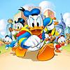 Donald Duck Voorleescast