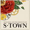 S-Town cover