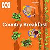 Country Breakfast