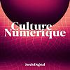 Culture Numérique