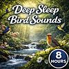 Deep Sleep Bird Sounds
