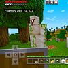 Minecraft überleben Cover