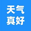 天气真好2022 Cover
