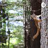 Подкасты, подкасты! cover