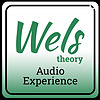 Wels Theory - Audio Experience Cover