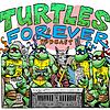 Turtles Forever