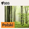 SBS Polish - SBS po polsku