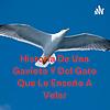Historia De Una Gaviota Y Del Gato Que Le Enseño A Volar portada