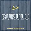 Trio Burulu