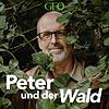 Peter und der Wald – ein GEO-Podcast