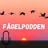 Fågelpodden