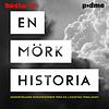 En mörk historia omslag