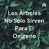 Los Árboles No Sólo Sirven Para El Oxigeno portada