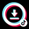 Tiktok Downloader 4x cover