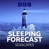 The Sleeping Forecast