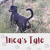 Inca's Tale
